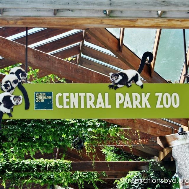 New York: 30+ Top Sights Walking Tour + Central Park Zoo Entry - Photo 1 of 15